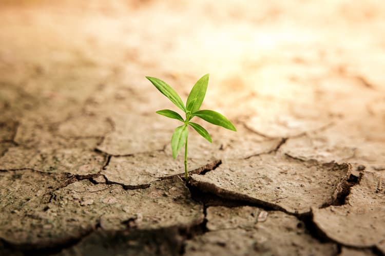 Addressing Setbacks with Resilience