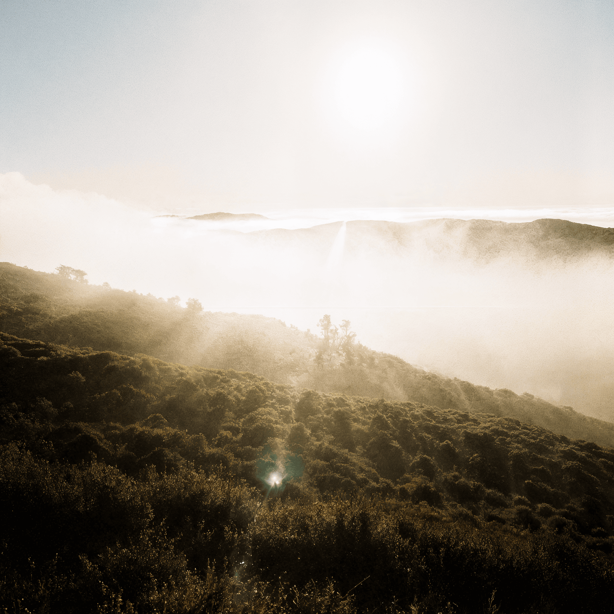 Understanding Your Brain